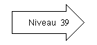 Niveau 39.png
