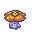 Rafflesia.gif