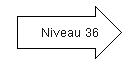 Niveau 36.png