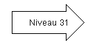 Niveau 31.png