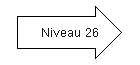 Niveau 26.png