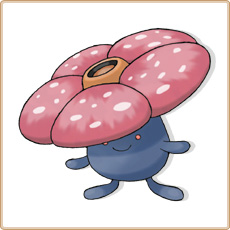 45 Rafflesia.jpg