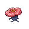 Rafflesia.png