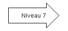 Niveau 7.png