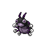 Coxy obscur.png