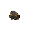 Phampy Obscur.png
