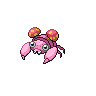 Paras rose.png