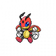 Coxyclaque.png