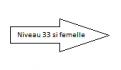 Niveau 33 si femelle.png