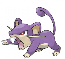 Rattata Artwork.png