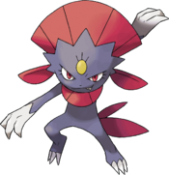 Dimoret Echange.png